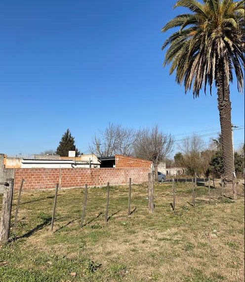 lote-5-21-2
