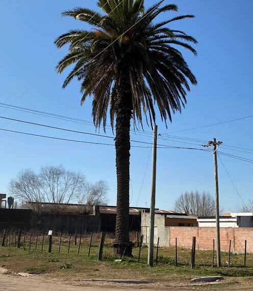 lote-5-21-3