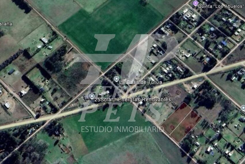 lote-50has-1