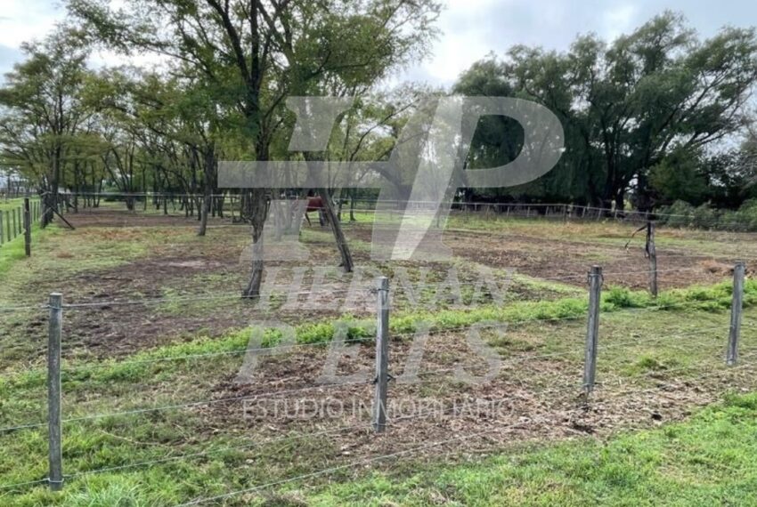 container-12-2025-04