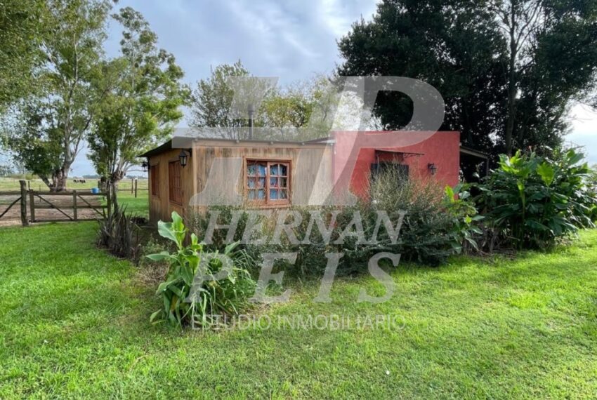 container-12-2025-06