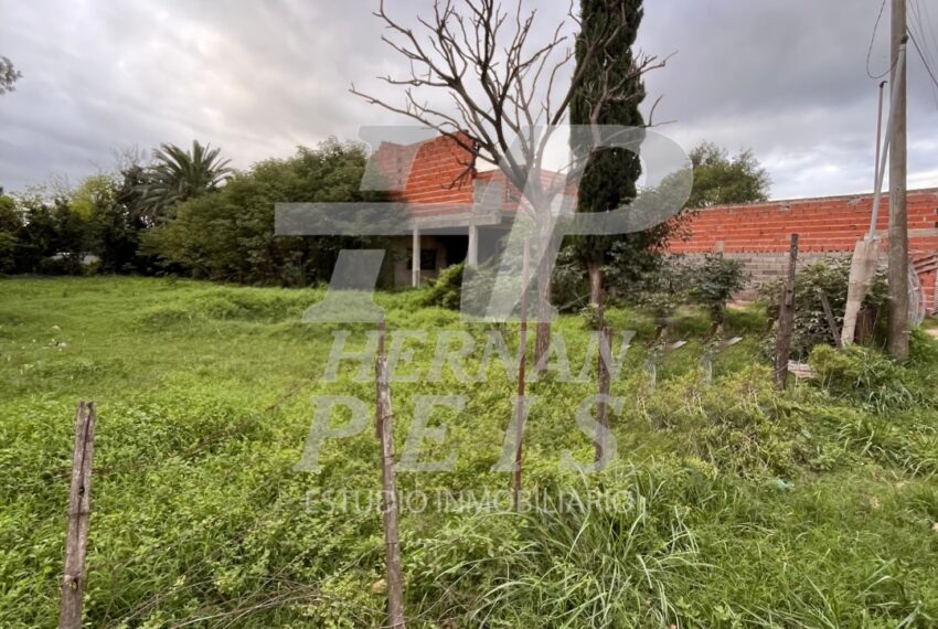 saavedra-saladillo-03