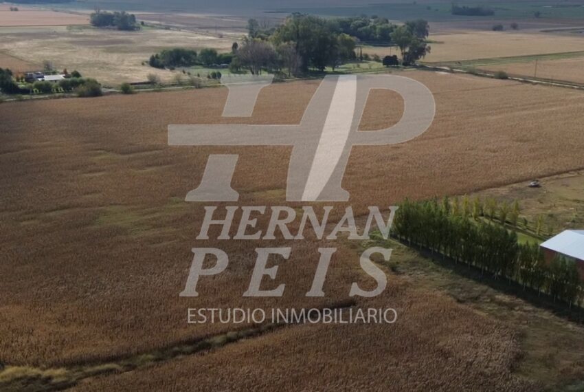 lotes-saladillo-03