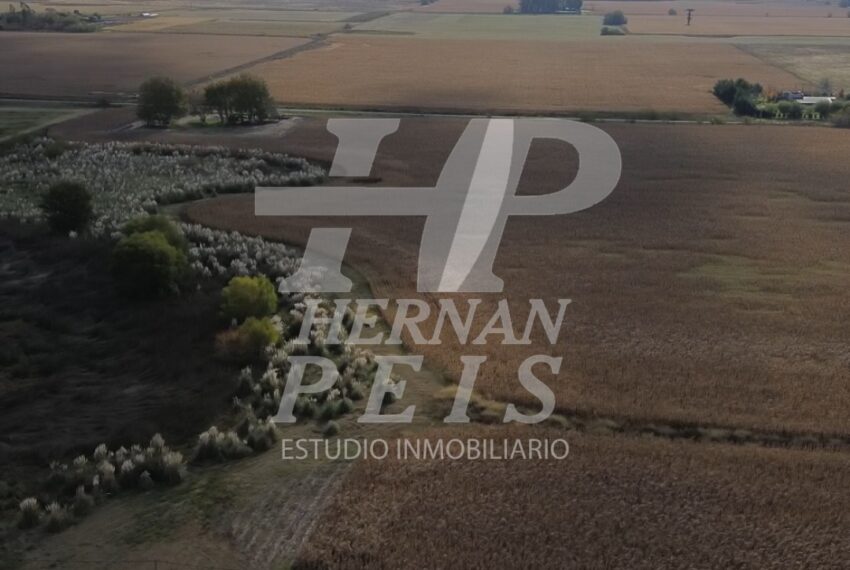 lotes-saladillo-04