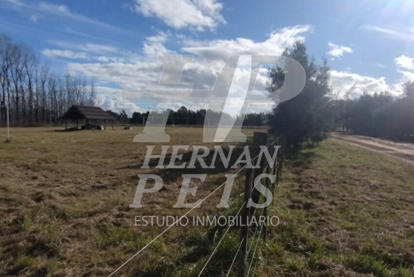 lote-calfucura-saladillo-03