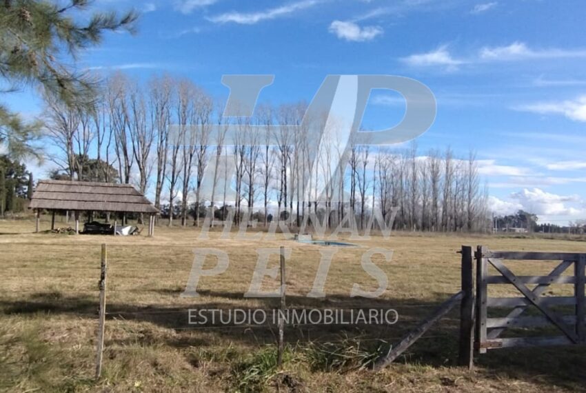 lote-calfucura-saladillo-04