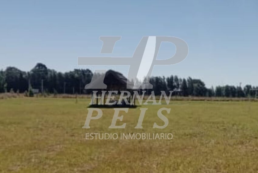 lote-calfucura-saladillo-05