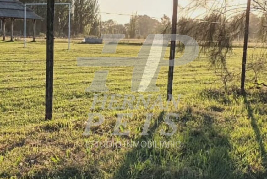 lote-calfucura-saladillo-06
