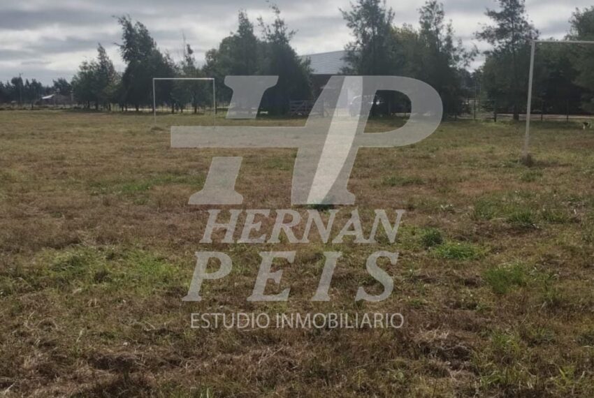 lote-calfucura-saladillo-07