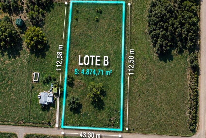 lote-delia-saladillo-02