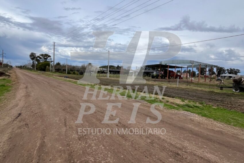 lote-delia-saladillo-06